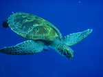 2009.07.9-13 170.jpg